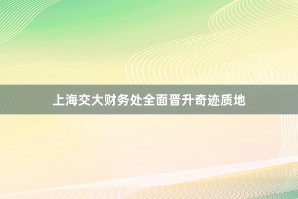 上海交大财务处全面晋升奇迹质地