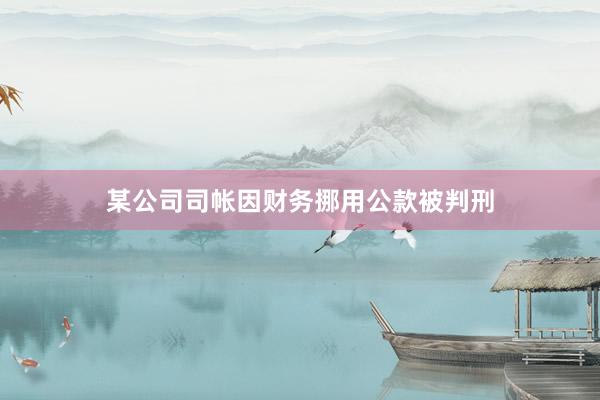 某公司司帐因财务挪用公款被判刑