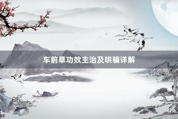 车前草功效主治及哄骗详解
