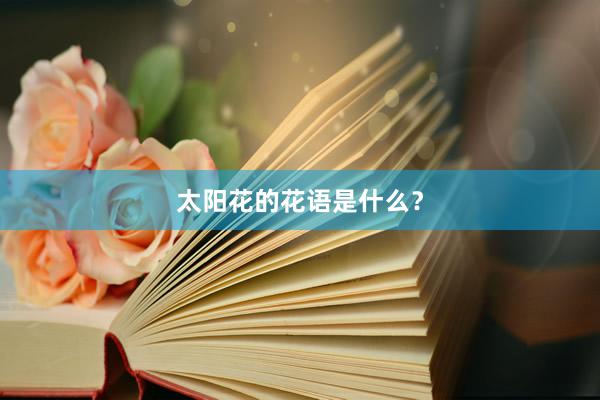 太阳花的花语是什么？