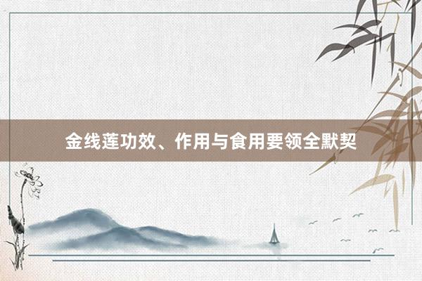 金线莲功效、作用与食用要领全默契